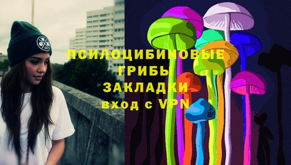 СК Михайлов