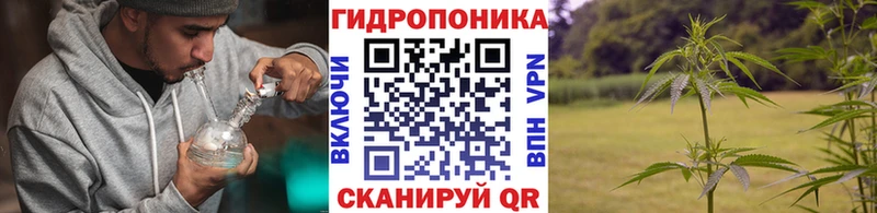 Каннабис сатива  цены наркотик  Ладушкин 